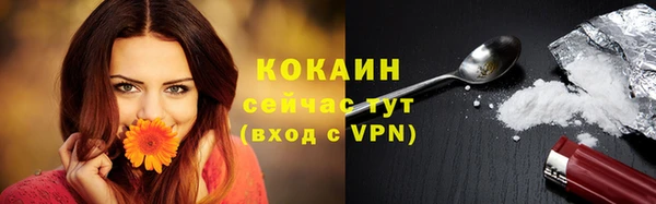 мдпв Волоколамск