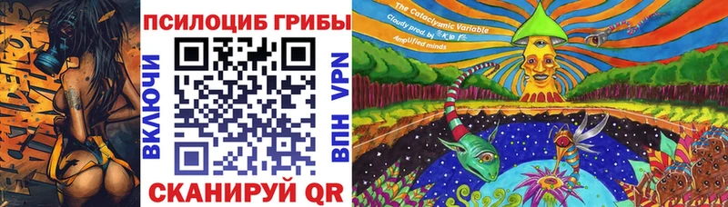 Псилоцибиновые грибы Cubensis  Томск 